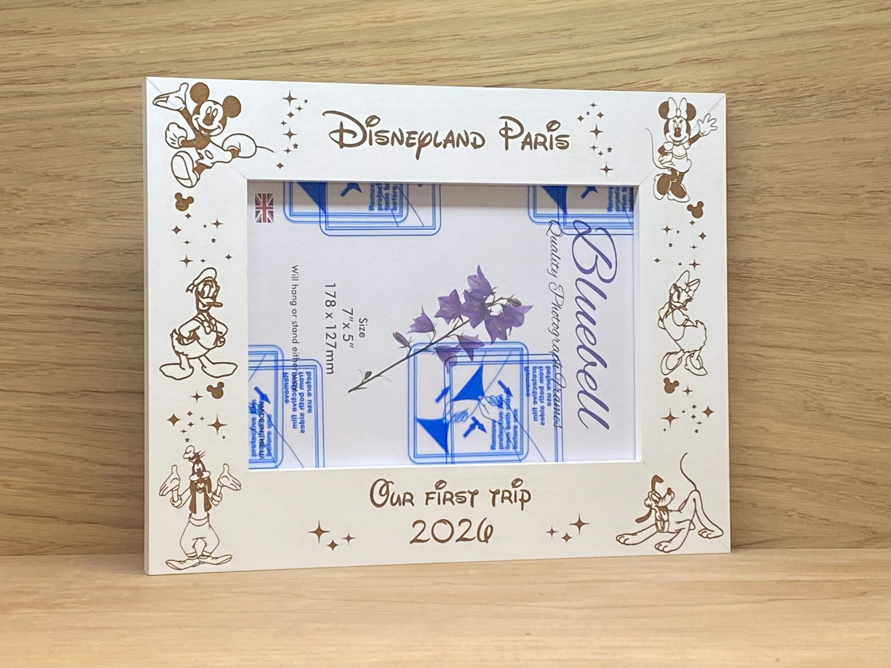 Disney 5x7