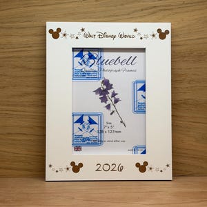 Personalized Disneyland Photo Frame, Engraved Disney Keepsake