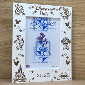 Marco de fotos Disney de 5x7 pulgadas, personalizado y grabado.