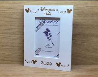 Gepersonaliseerde Disneyland-fotolijst, gegraveerde Disney-aandenken