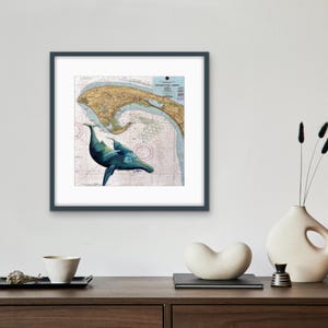 Carte marine des baleines de Provincetown, impression d'affiche, carte marine de Cape Cod, mammifère marin, carte marine des baleines, impression de décor côtier mat