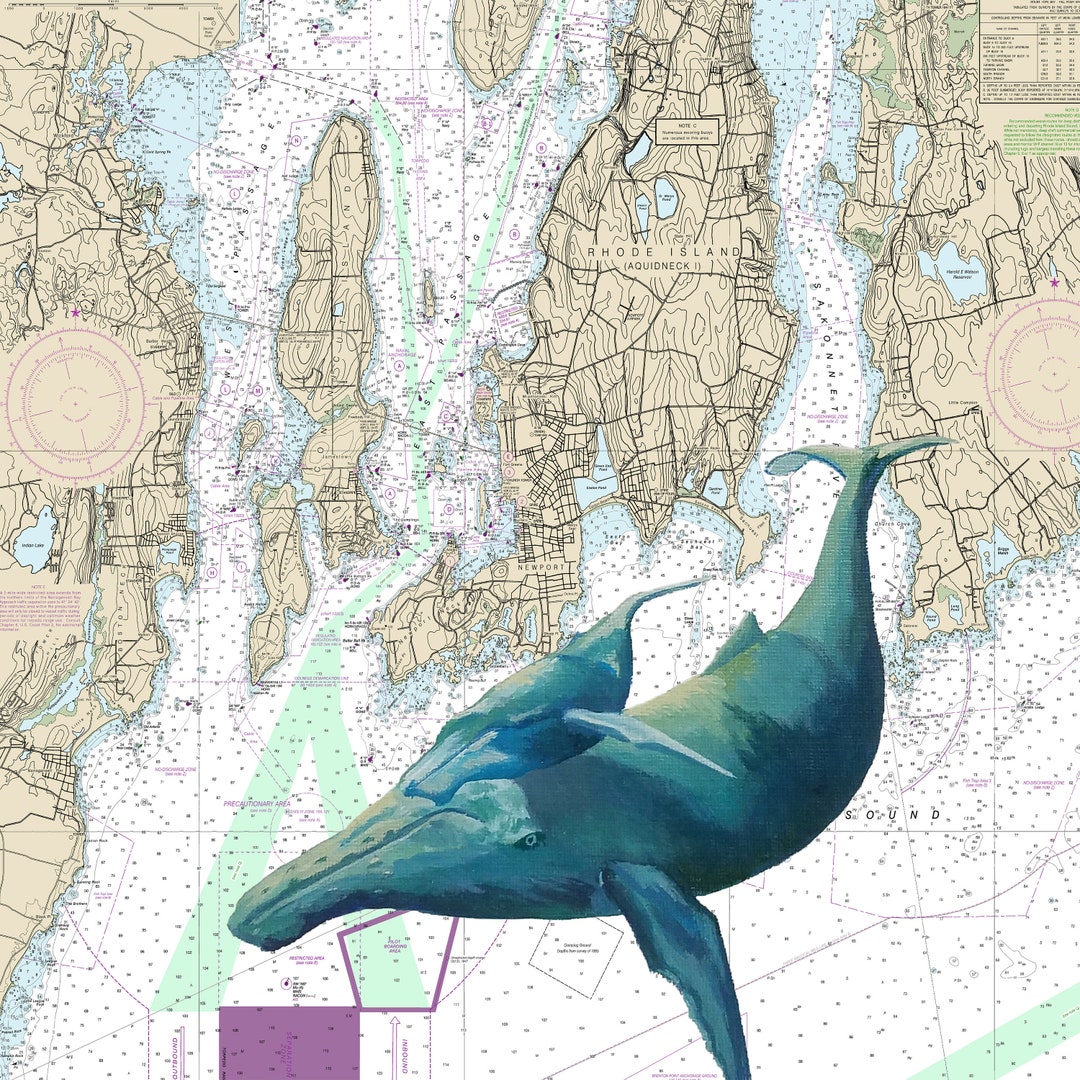 Narragansett Bay Chart, Humpback Whale, Print, Giclee, Nautical