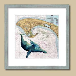 Provincetown nautische walvis grafiek poster afdrukken Cape Cod oceaan zoogdier maritieme kaart zee leven illustratie mat kust decor Fine Art cadeau