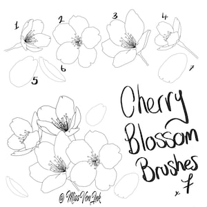 Cherry Blossom Procreate ブラシセット スターターパック