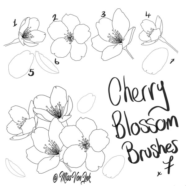 Cherry Blossom Procreate Brush Set starter pack