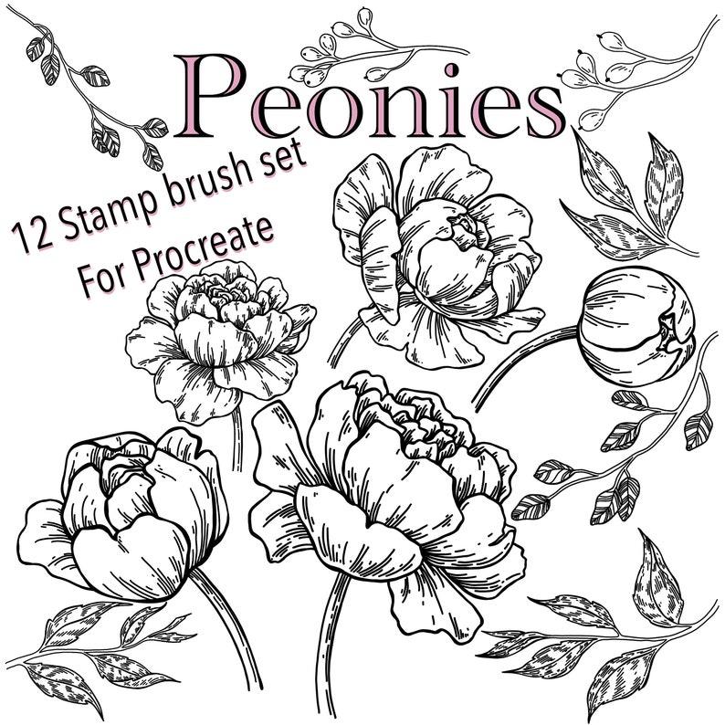 Procreate Peonies 12 Brush Stamps - Etsy