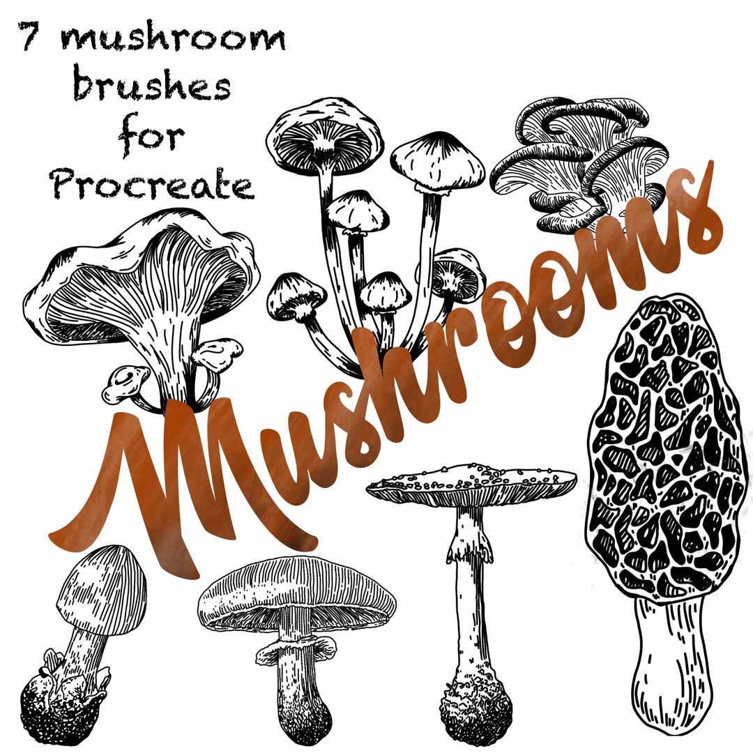 Procreate Mushroom Brush Stamp Set - Etsy