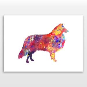 Rough Collie Poster, Canine Print