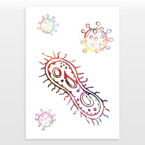 Poster Bactéries - Impression aquarelle
