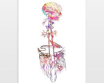 Brain Poster - Vagus Nerve Print - Watercolour print