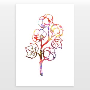 Cotton Plant Poster - Cotton Plant Print - Watercolour print