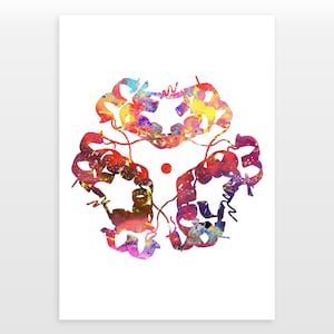 Insulin Endocrinology Poster - Insulin Wall Art Print - Watercolour print