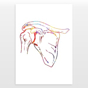 Póster de la articulación del hombro - Impresión en acuarela