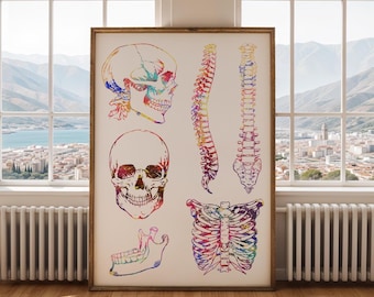 Póster de huesos humanos - Lámina de esqueleto humano - Impresión en acuarela