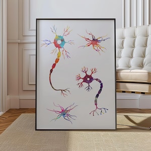 Könnte beinhalten: Ein gerahmter Druck mit farbenfrohen Aquarellillustrationen von Neuronen. Das Kunstwerk zeigt vier verschiedene Neuronenstrukturen, jede in leuchtenden Farbtönen von Rot, Blau, Gelb und Grün, vor einem weißen Hintergrund. Der Rahmen ist schwarz.