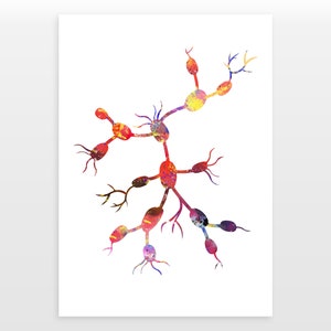 Lymph Node Poster - Watercolour print