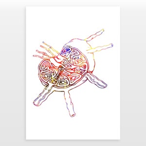 Lymph Node Poster - Watercolour print