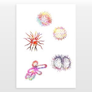 Poster Microbes - impression de science biologique - impression aquarelle