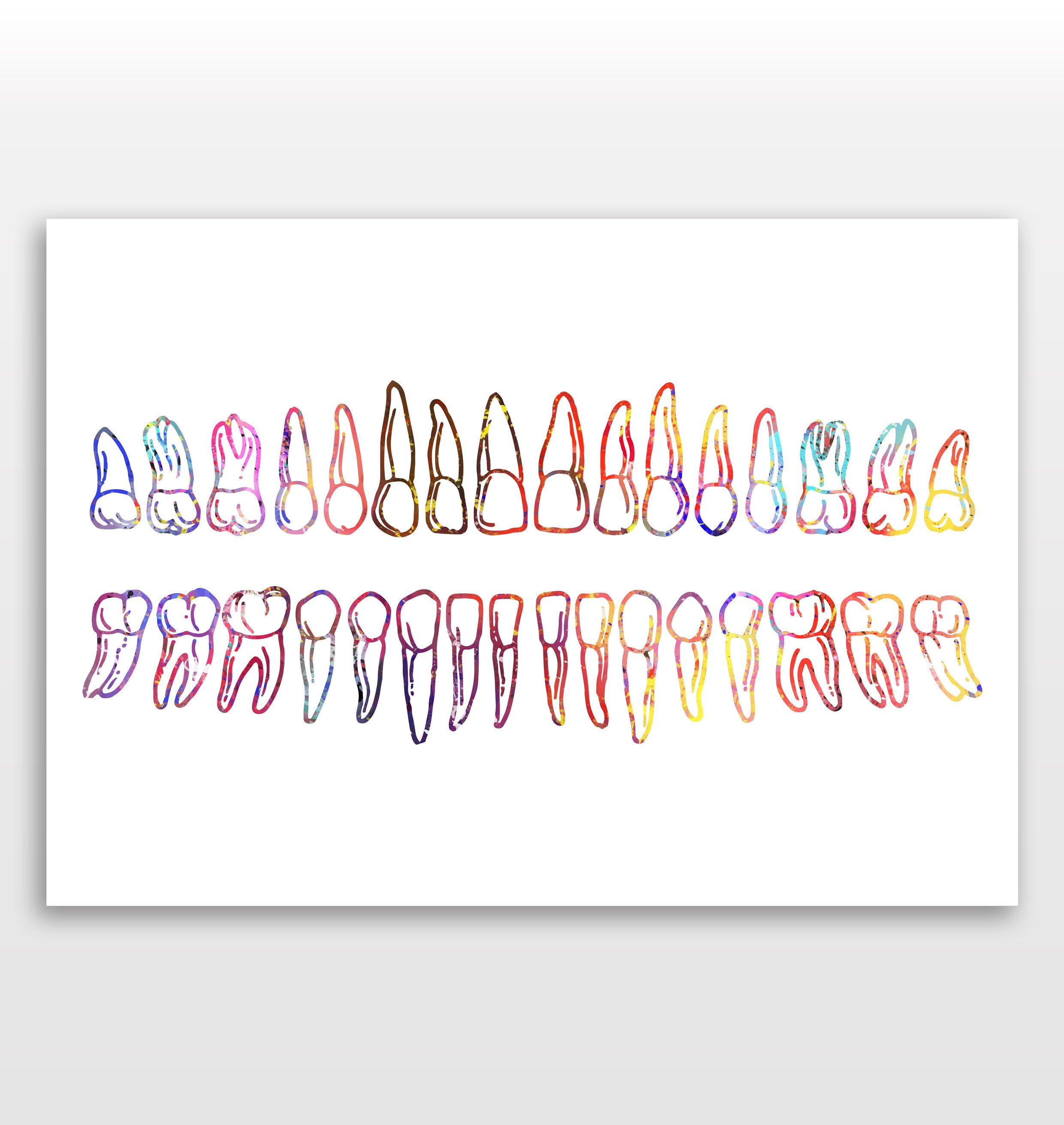 Set of Teeth Poster - Dental Print - Watercolour print