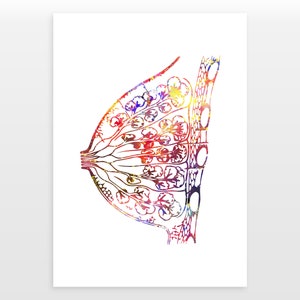Breast Poster - Female Anatomy Print - Watercolour print