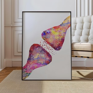 Può includere: Una stampa artistica incorniciata con una colorata rappresentazione ad acquerello di una sinapsi. L'opera presenta due forme bulbose nei toni del rosso, rosa, giallo e blu, con piccoli punti tra loro, su sfondo bianco.
