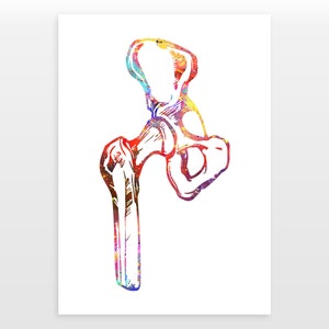 Hip Joint Poster - Hip Bone Print - Watercolour print