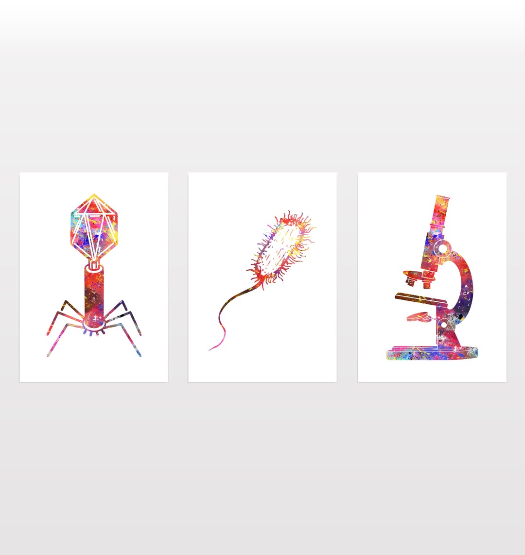 Microscope Poster - Set of 3 - Biological Science Print - Watercolour ...