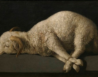 Francisco de Zurbaran Agnus Dei 1635-1640, High quality hand painted oil painting reproduction