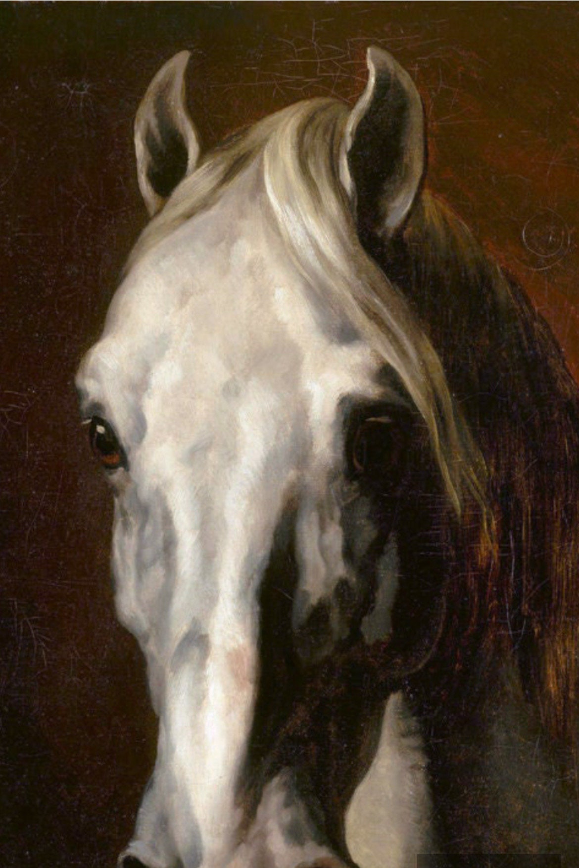 テオドール・ジェリコー「白い馬の頭」1815年、高品質油絵複製 - Etsy 日本