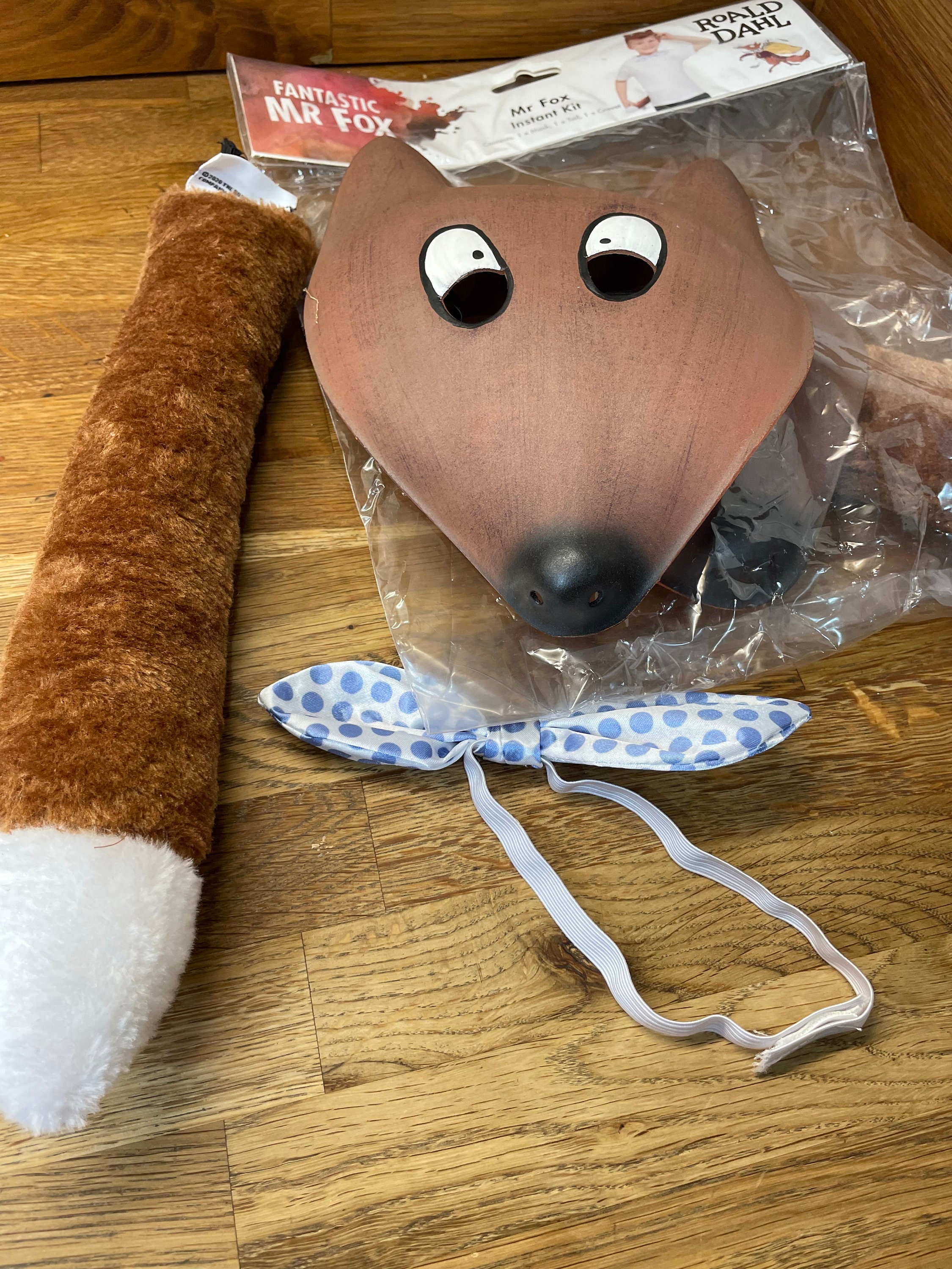 Roald Dahl Fantastic Mr Fox Instant Kit Child Brown Roald Dahl Fantastic Mr Fox Instant Kit Child Brown
