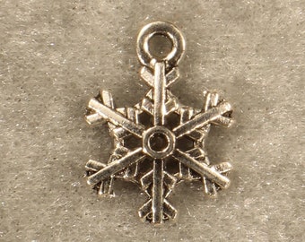 May include: A silver snowflake charm with a loop at the top for hanging.