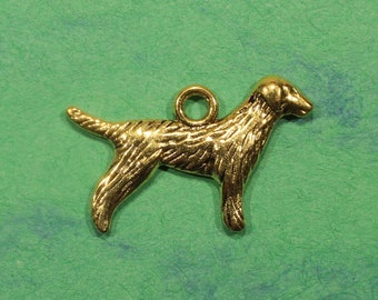 Puede incluir: Un amuleto de metal dorado en forma de perro. El perro está de pie sobre sus cuatro patas con la cabeza girada hacia un lado.