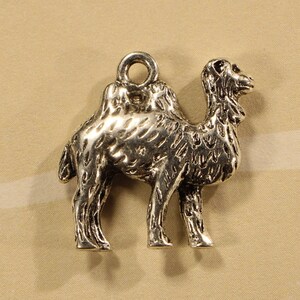 May include: A silver charm in the shape of a camel. The charm has a loop at the top for attaching to a bracelet or necklace.