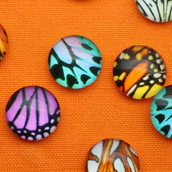 Butterfly Wing 12mm Round Assorted Colors Glass Dome Flat Back Single Sided Insect Jewelry and Craft Cabochons - 1325