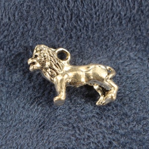 May include: A silver-colored lion charm with a detailed design. The charm is perfect for adding a touch of whimsy to jewelry or crafts.