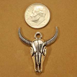 May include: Silver-toned bull skull charm with a loop for hanging. The charm is about the size of a US dime.