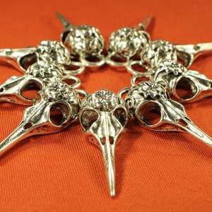 May include: A silver charm bracelet with a repeating pattern of bird skull charms. Each charm features intricate details and a delicate floral design.
