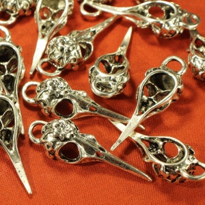 May include: A group of silver-toned bird skull charms with intricate details. The charms have a hollowed-out skull design with a small loop at the top for attaching to jewelry or other crafts.