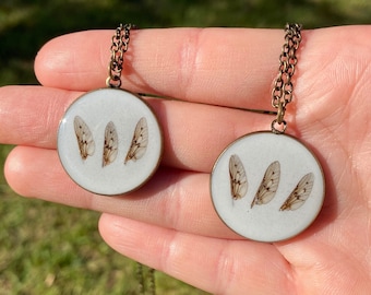 Real insect specimen in resin - fairy wings - handmade oddities - fairycore jewelry - pendant - goblincore - wing necklace - resin jewelry