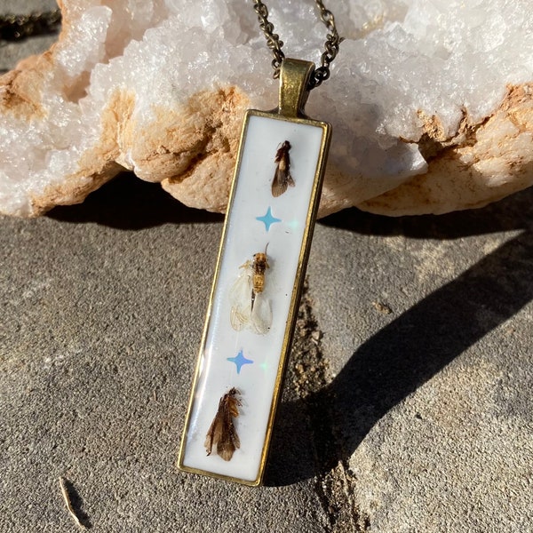 Real insect specimen in resin - necklace - angels - handmade oddities - nature jewelry - pendant - bezel - bug - resin art jewelry