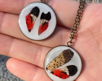 Real insect specimen in resin - fairy wings - handmade oddities - fairycore jewelry - pendant - goblincore - wing necklace - resin jewelry