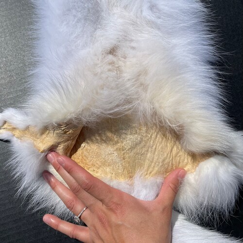 Arctic shops Fox Tanned Fur