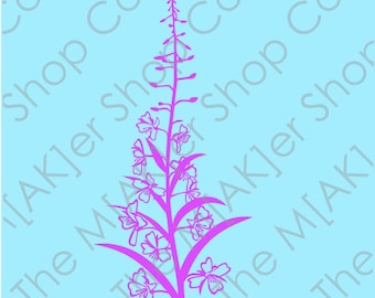 Wildflowers Alaska Fireweed digital download