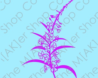 Alaska Wildflower fireweed digital download