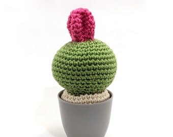 Crocheted Cactus with pot, Amigurumi plushie Cactus. Housewarming gift, Homedecor, Desk plant. Small size. Ready to ship worldwide