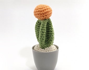 Crocheted Cactus with pot, Amigurumi plushie Cactus. Housewarming gift, Homedecor, Desk plant. Small size. Ready to ship worldwide