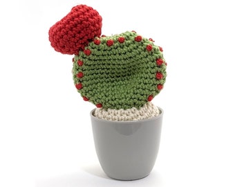 Crocheted Cactus with pot, Amigurumi plushie Cactus. Housewarming gift, Homedecor, Desk plant. Small size. Ready to ship worldwide