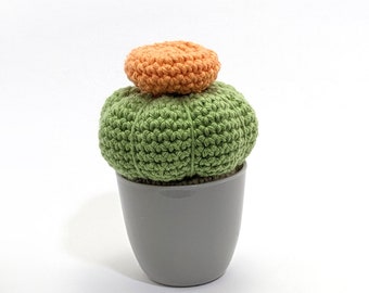 Gehäkelter Kaktus mit Topf, Amigurumi Plüschtier Cactus. Einweihungsgeschenk, Homedecor, Schreibtischpflanze. Kleine Größe. Sofort versandfertig