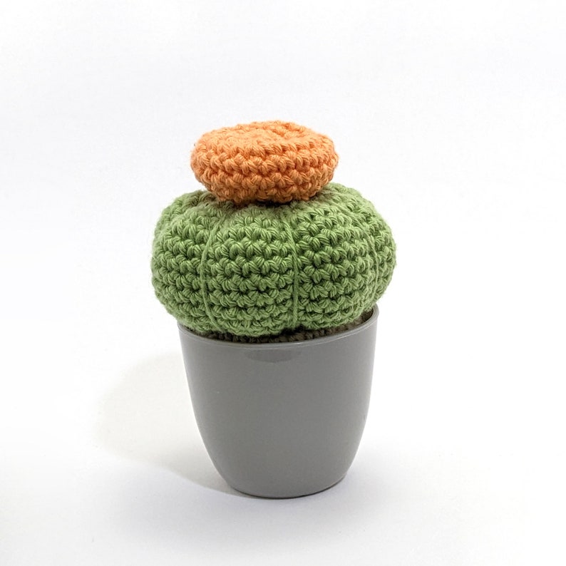 Crocheted Cactus with pot, Amigurumi plushie Cactus. Housewarming gift, Homedecor, Desk plant. Small size. Ready to ship worldwide image 1