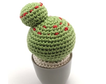 Crocheted Cactus with pot, Amigurumi plushie Cactus. Housewarming gift, Homedecor, Desk plant. Small size. Ready to ship worldwide